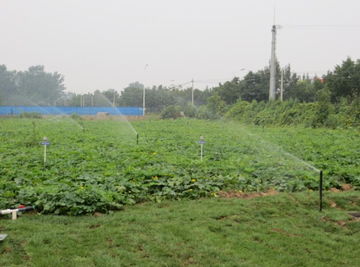 水利部產(chǎn)品質(zhì)量監(jiān)督總站與中國水利企業(yè)協(xié)會機械分會的角色及其對水利機械產(chǎn)業(yè)發(fā)展的影響