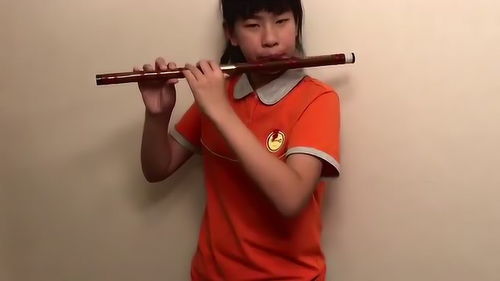 紅梅贊——張馨瑤同學笛子全按作演奏側記